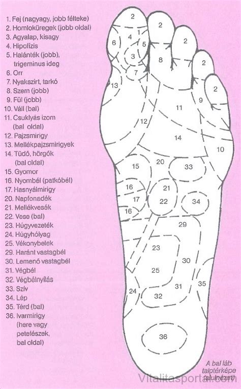 maszirozni|5 bevált lépés a talpmasszázsban – hogyan masszírozzuk a talpat